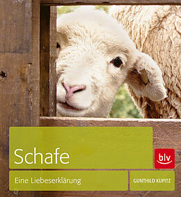 Fester Einband Schafe von Gunthild Kupitz