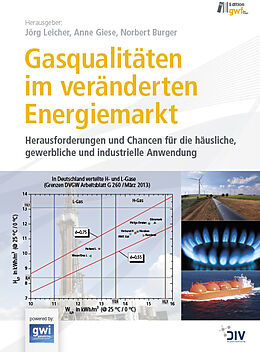 Kartonierter Einband Gasqualitäten im veränderten Energiemarkt von 