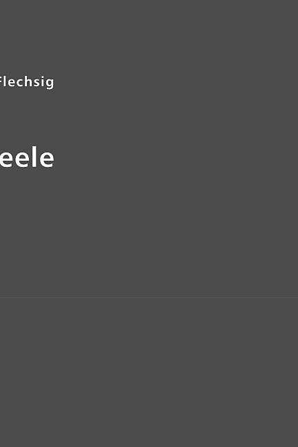 Gehirn und Seele