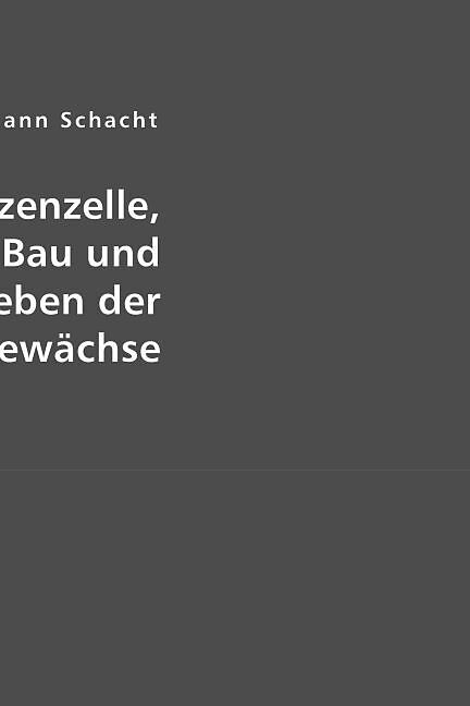 Hermann Schacht