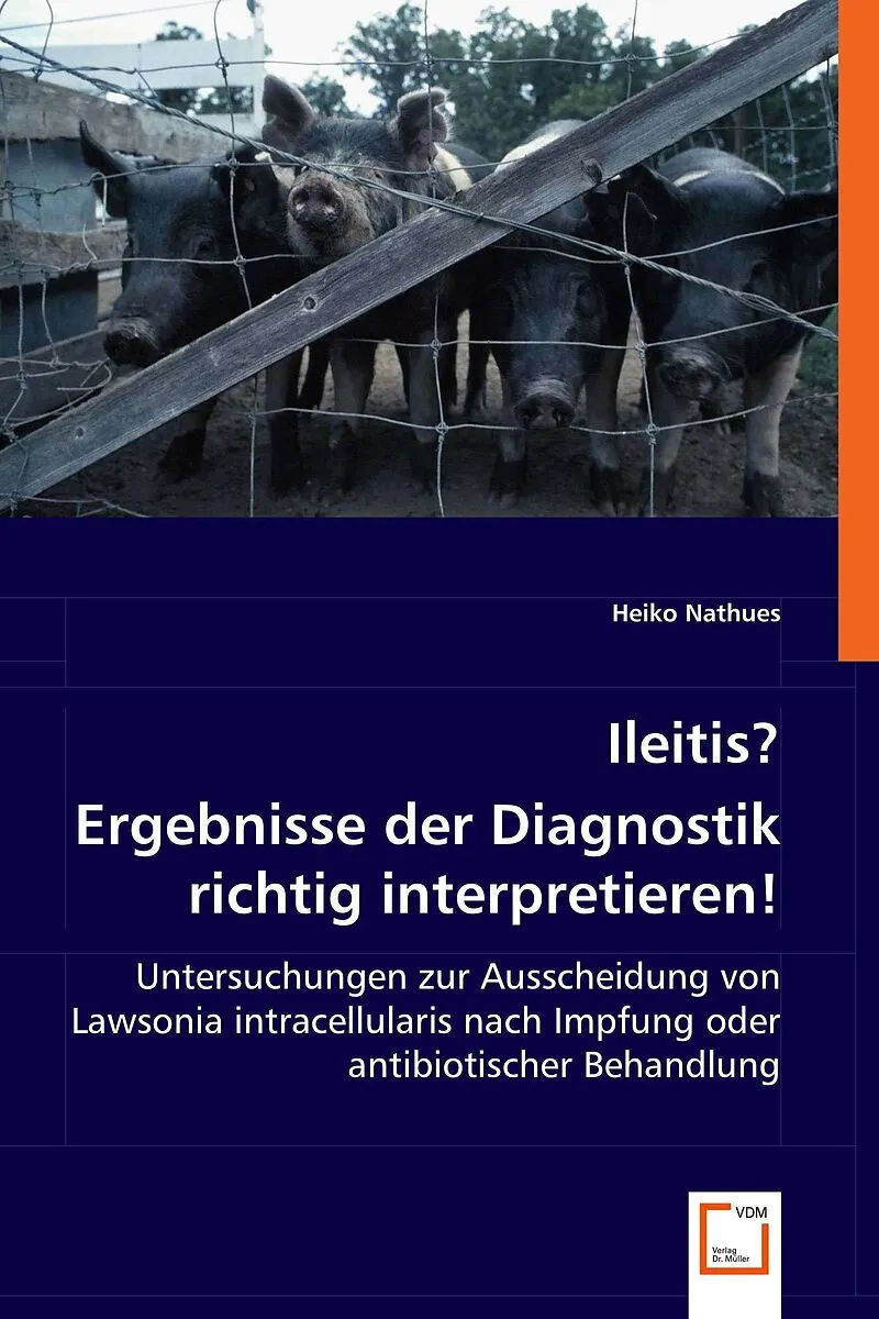 Ileitis? Ergebnisse der Diagnostik richtig interpretieren!