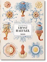Broschiert The art and science of Ernst Haeckel von Julia Voss, Rainer Willmann