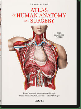 Fester Einband Bourgery. Atlas of Human Anatomy and Surgery von Henri Sick, Jean-Marie Le Minor