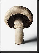 Fester Einband The Gourmand's Mushroom. A Collection of Stories and Recipes von The Gourmand