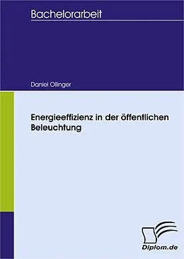 E-Book (pdf) Energieeffizienz in der öffentlichen Beleuchtung von Daniel Ollinger