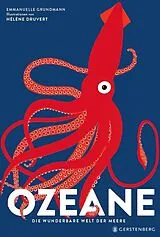 Fester Einband Ozeane von Hélène Druvert