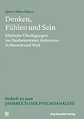 E-Book (pdf) Denken, Fühlen und Sein von Ignacio Matte-Blanco