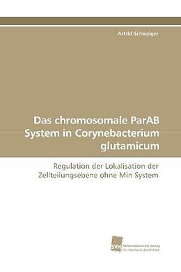 Kartonierter Einband Das chromosomale ParAB System in Corynebacterium glutamicum von Astrid Schwaiger