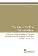 Kartonierter Einband The Role of CLCA2 in Tumourigenesis von Daniela Scheer