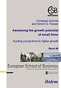 E-Book (pdf) Assessing the growth potential of small firms von Christoph Schmid, Simon G Fauser