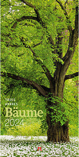 Kalender Bäume Kalender 2024 von Ackermann Kunstverlag