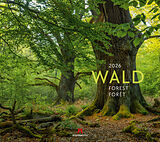 Kalender Wald Kalender 2026 von Ackermann Kunstverlag GmbH