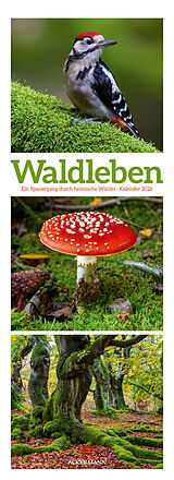 Kalender Waldleben Triplet-Kalender 2026 | Spaziergang durch heimische Wälder von Ackermann Kunstverlag GmbH