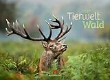 Kalender Tierwelt Wald Kalender 2027 von Ackermann Kunstverlag GmbH