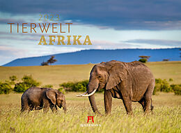 Kalender Tierwelt Afrika Kalender 2023 von Ackermann Kunstverlag