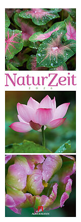 Kalender NaturZeit Triplet-Kalender 2026 von Ackermann Kunstverlag GmbH