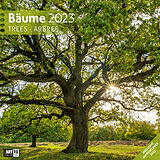 Kalender Bäume Kalender 2023 - 30x30 von Ackermann Kunstverlag