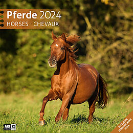 Kalender Pferde Kalender 2024 - 30x30 von Ackermann Kunstverlag