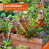 Kalender Landleben Broschürenkalender 2026 - 30x30 - Art12 von Ackermann Kunstverlag GmbH