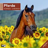 Kalender Pferde Broschürenkalender 2026 - 30x30 - Art12 von Ackermann Kunstverlag GmbH