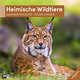 Kalender Heimische Wildtiere Broschürenkalender 2026 - 30x30 - Art12 von Ackermann Kunstverlag GmbH