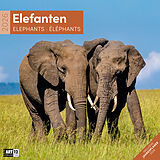 Kalender Elefanten Broschürenkalender 2026 - 30x30 - Art12 von Ackermann Kunstverlag GmbH
