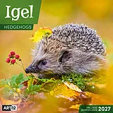 Kalender Igel Kalender 2027 - 30x30 - Art12 von Ackermann Kunstverlag GmbH