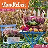 Kalender Landleben Kalender 2027 - 30x30 - Art12 von Ackermann Kunstverlag GmbH