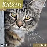 Kalender Katzen Kalender 2027 - 30x30 - Art12 von Ackermann Kunstverlag GmbH