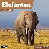 Kalender Elefanten Kalender 2027 - 30x30 - Art12 von Ackermann Kunstverlag GmbH