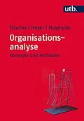 E-Book (pdf) Organisationsanalyse von Stefan Titscher, Michael Meyer, Wolfgang Mayrhofer