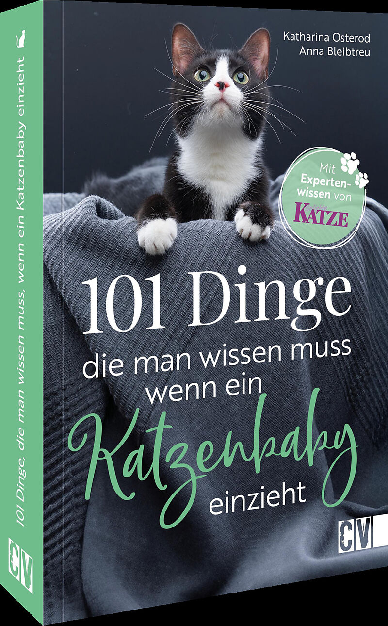 101 Dinge, die man wissen muss, wenn ein Katzenbaby einzieht