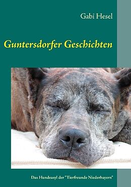 Kartonierter Einband Guntersdorfer Geschichten von Gabi Hesel