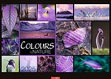 Kalender Colours of Nature Kalender 2025 von 