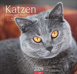 Kalender Katzen - Diven auf Samtpfoten Kalender 2025 - Diven auf Samtpfoten von 