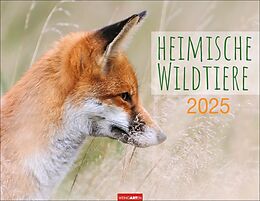 Kalender Heimische Wildtiere Kalender 2025 von 