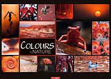 Kalender Colours of Nature Kalender 2026 von 