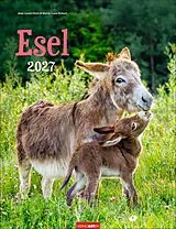 Kalender Esel Kalender 2027 von Marie-Luce Hubert, Jean-Louis Klein
