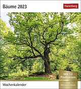 Kalender Bäume Postkartenkalender 2023 von 