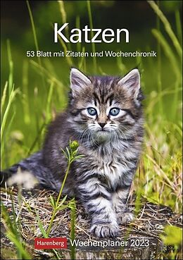 Spiralbindung Katzen Wochenplaner. Wandkalender 2023 mit Platz für Notizen und vielen süßen Katzenfotos. Tierkalender 2023 mit praktischer Wochenansicht. Hochformat 25x36 cm von 