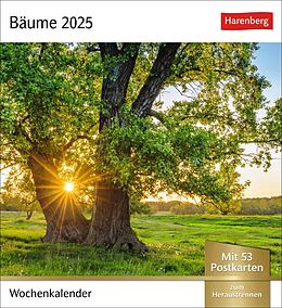 Kalender Bäume Postkartenkalender 2025 - Wochenkalender mit 53 Postkarten von 