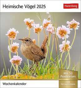 Kalender Heimische Vögel Postkartenkalender 2025 - Wochenkalender mit 53 Postkarten von 