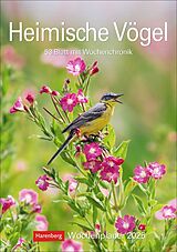 Kalender Heimische Vögel Wochenplaner 2025 - 53 Blatt mit Wochenchronik von Markus Hattstein
