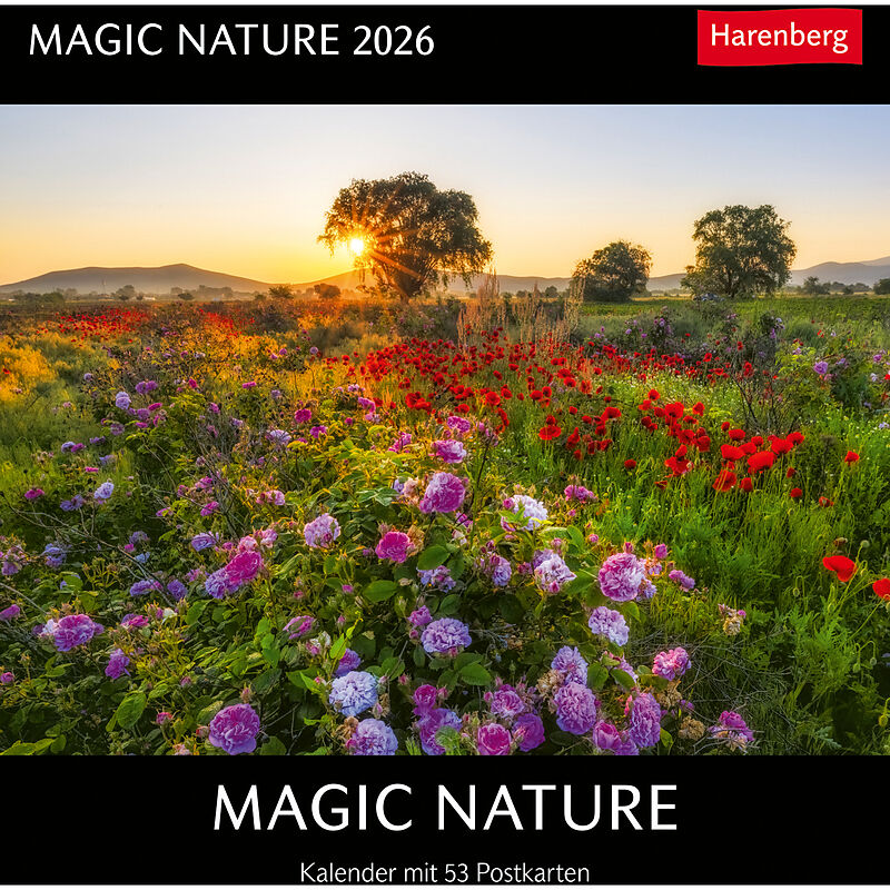 Magic Nature Postkartenkalender Kalender 2026 - Kalender mit 53 Postkarten
