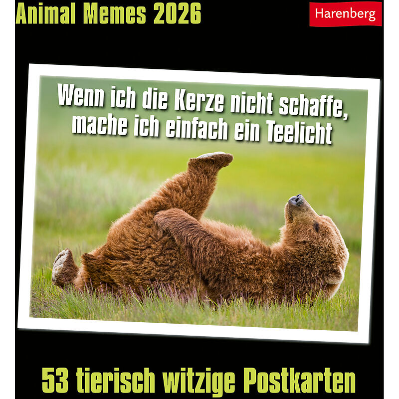 Animal Memes Postkartenkalender 2026 - 53 tierisch witzige Postkarten