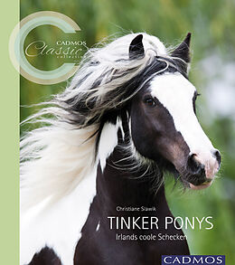 Kartonierter Einband Tinker Ponys von Christiane Slawik