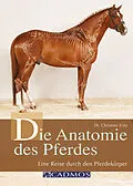 E-Book (epub) Die Anatomie des Pferdes von Christina Fritz