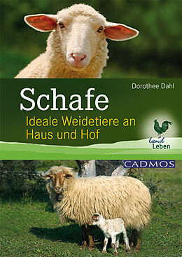 E-Book (epub) Schafe von Dorothee Dahl