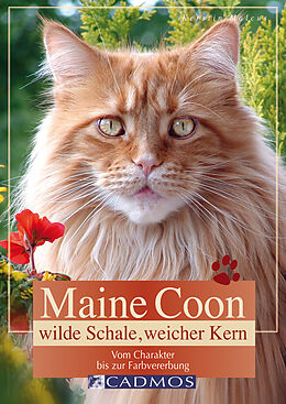E-Book (epub) Maine Coon - Wilde Schale weicher Kern von Kerstin Malcus