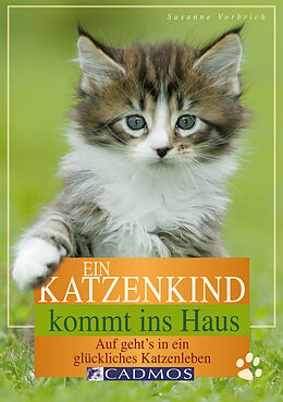E-Book (epub) Ein Katzenkind kommt ins Haus von Susanne Vorbrich